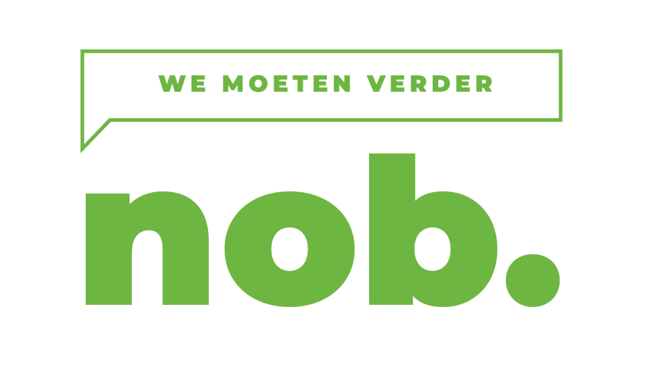 De Nationale Ontwikkelings Bank van Suriname N.V